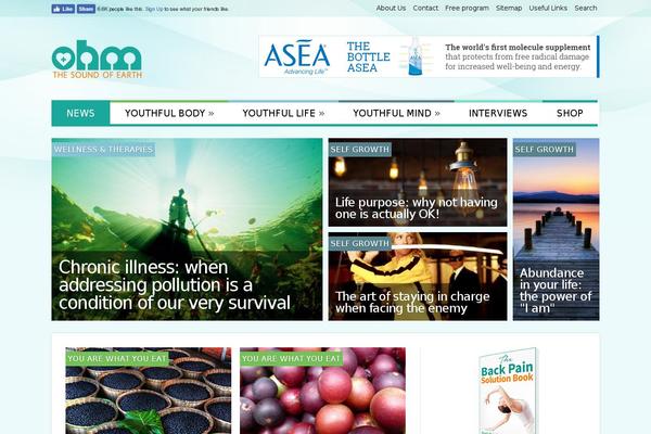Meganews theme site design template sample