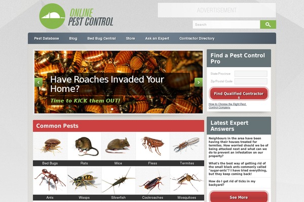 Opc theme site design template sample