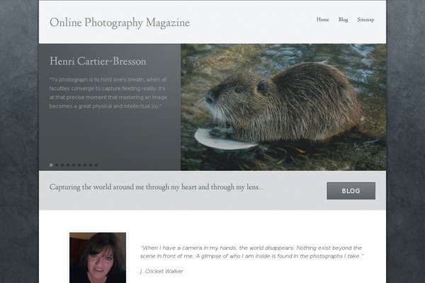 Echelon theme site design template sample