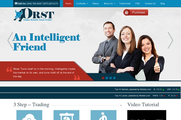 Site using Tenweb-speed-optimizer plugin