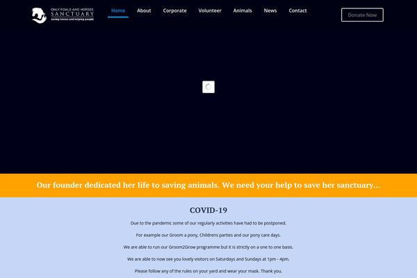 BeTheme Child theme site design template sample