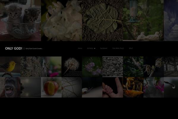 Fullscreen theme site design template sample