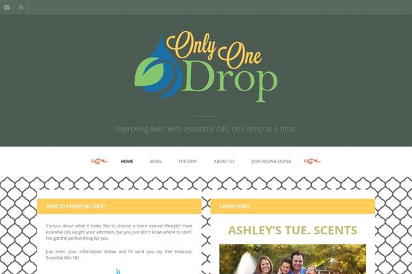 Site using Accordion-Wp plugin