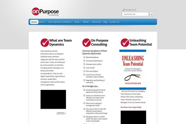 TheProfessional theme site design template sample