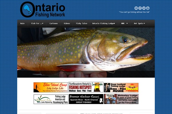 Akita theme site design template sample