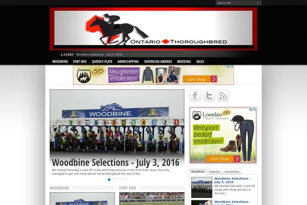 Resportsive theme site design template sample