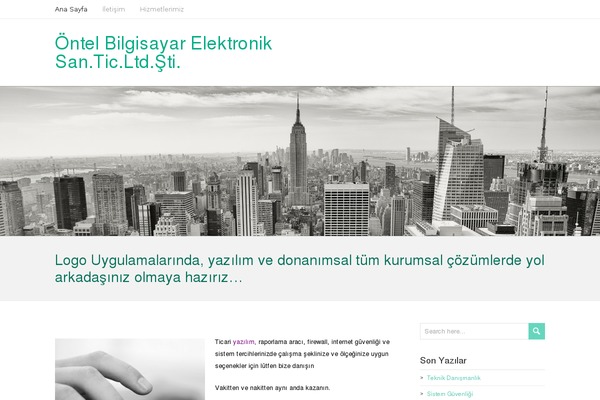 RestImpo theme site design template sample