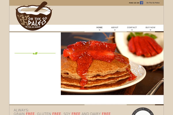 Paleo theme site design template sample