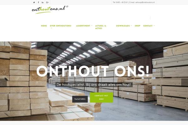 Salient Child theme site design template sample