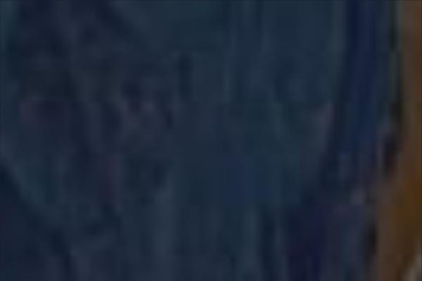Site using Really Simple Twitter Feed Widget plugin