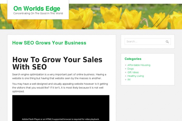 zeeMinty theme site design template sample