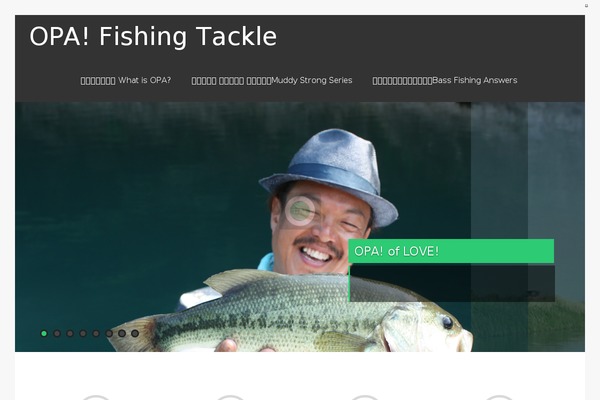 Asteria Lite theme site design template sample