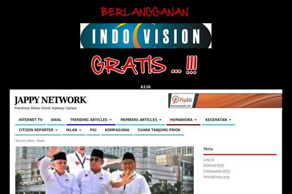 MesoColumn theme site design template sample