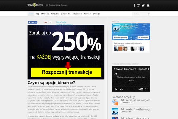 InReview theme site design template sample