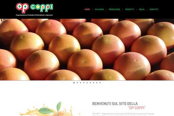Site using Amy-user plugin