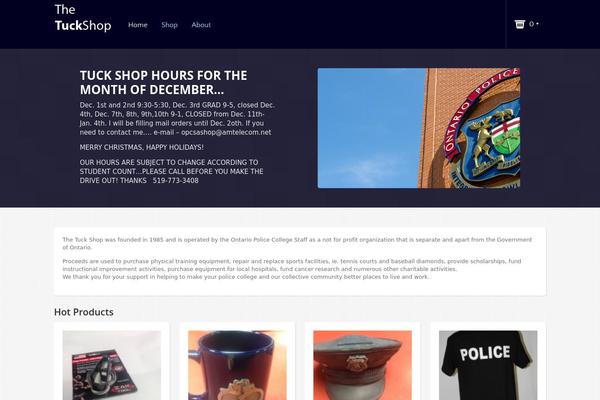 Iceberg theme site design template sample