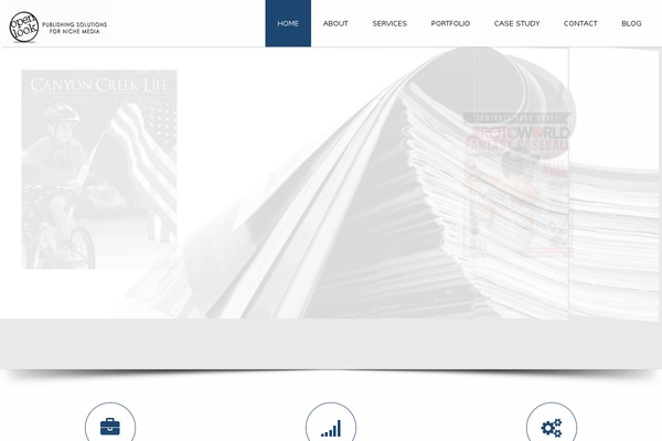 open-look.com site used Invert