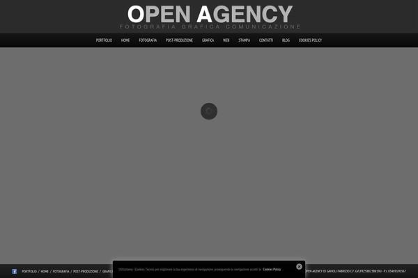 openagency.it site used Photolux_v120