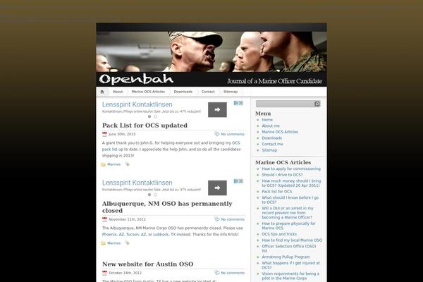 iNove theme site design template sample