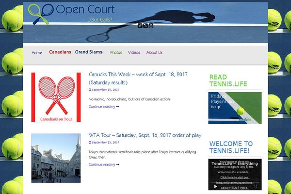 Newsium-pro theme site design template sample