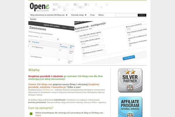 MiniBuzz theme site design template sample