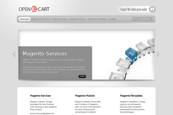 TheProfessional theme site design template sample