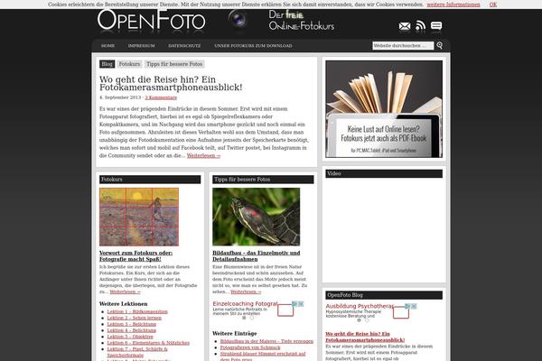 Revolution_pro-30 theme site design template sample