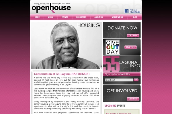 OpenDoor theme site design template sample