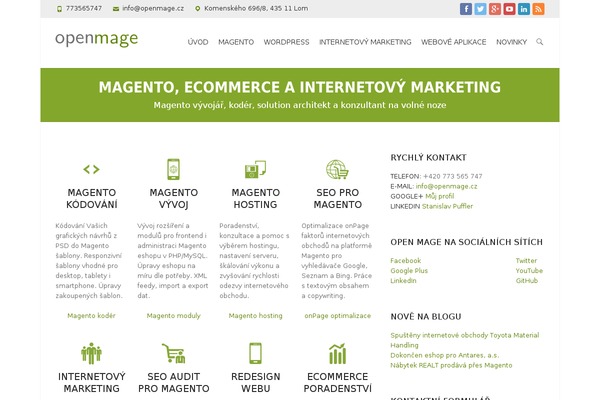 Interface theme site design template sample