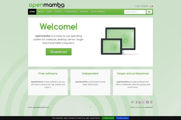 Site using Multisite Language Switcher plugin