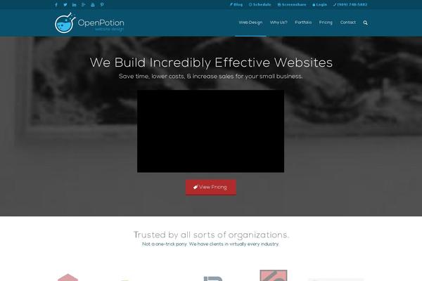 Site using Optin-monster plugin