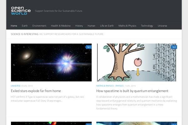 Hueman theme site design template sample