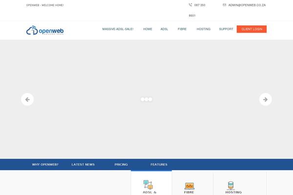 MaxiNet theme site design template sample