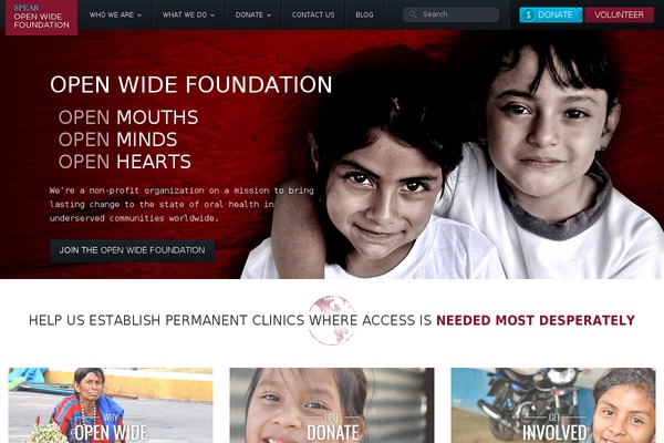 Roots theme site design template sample