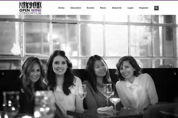 Avada Child Theme theme site design template sample