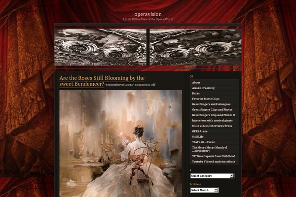 Site using VideoPress plugin
