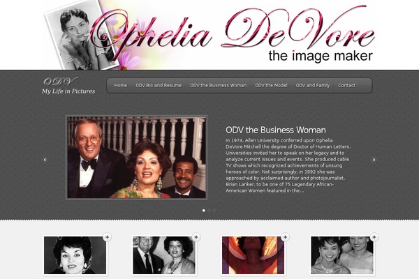 Feather theme site design template sample