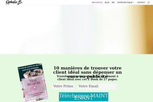 Site using Facebook Comments by Vivacity plugin