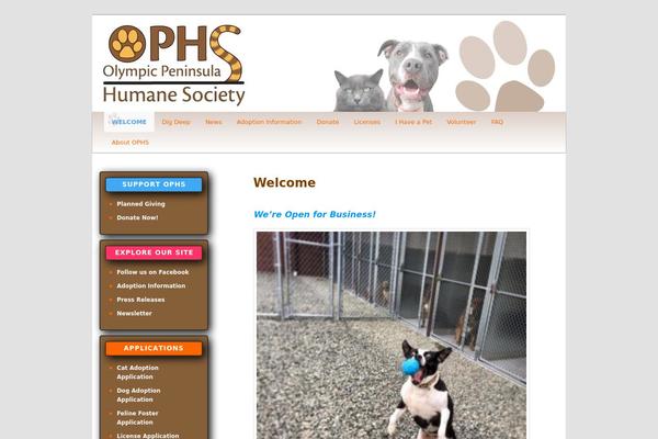Site using Donations Widget plugin
