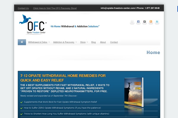 Maxx WP theme site design template sample