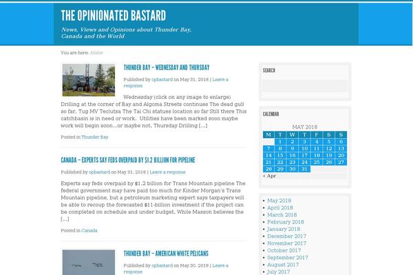 Live Wire theme site design template sample