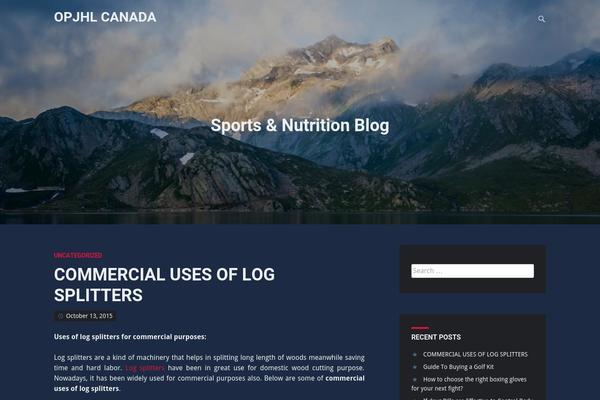 Identity theme site design template sample