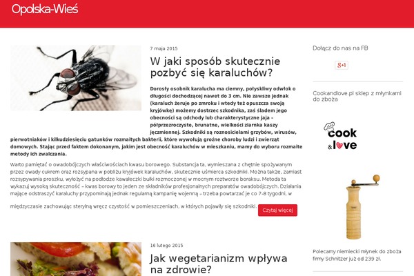 Future theme site design template sample