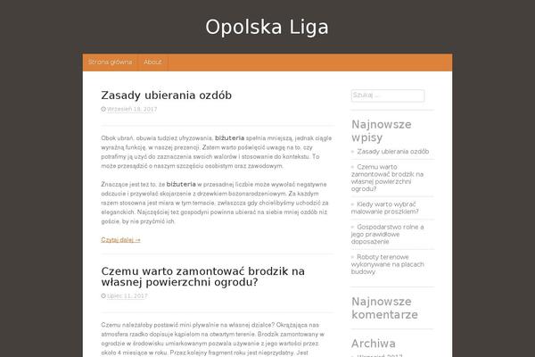 Magazine-point theme site design template sample