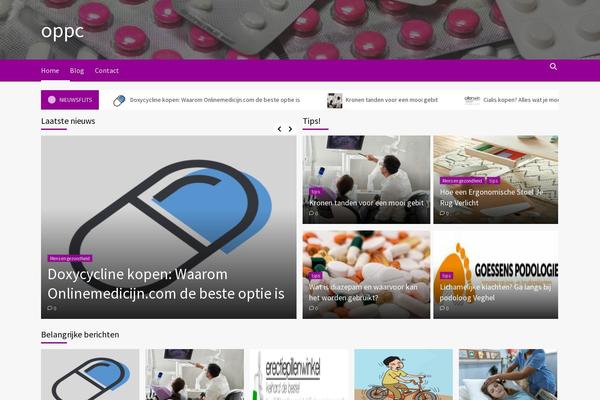 Newswords theme site design template sample