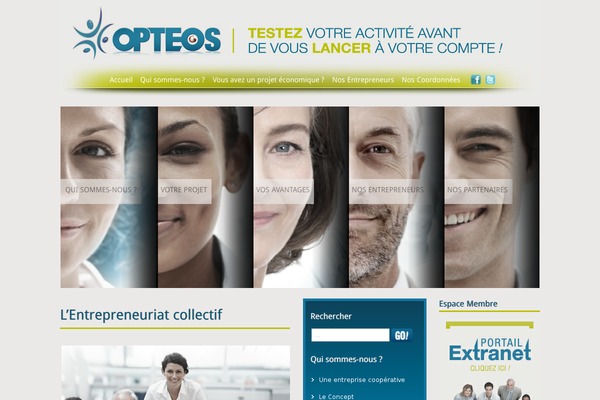Emploi theme site design template sample