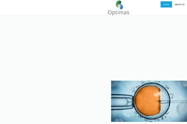 JupiterX theme site design template sample