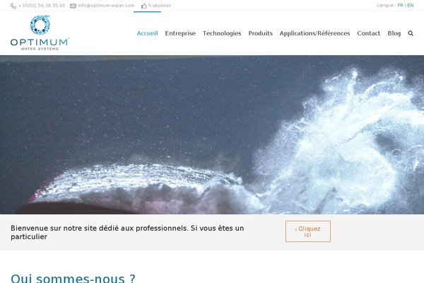 Site using Dzs-videogallery plugin