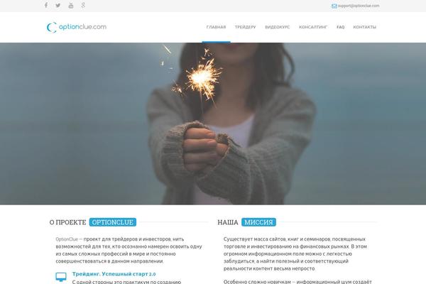 optionclue.com site used Twenty Fifteen