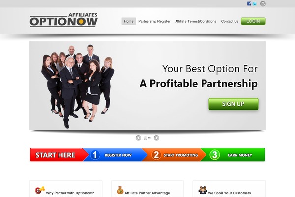 Flare theme site design template sample
